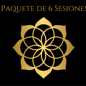 tarjeta paquete 6 sesiones